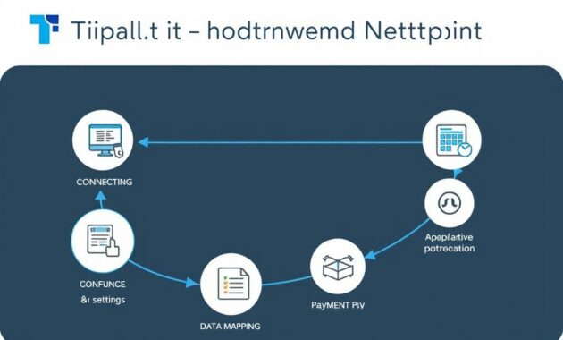 Tipalti NetSuite integration setup process