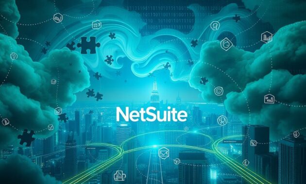 challenges faced with NetSuite data migration