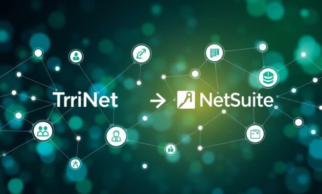 integration process of TriNet and NetSuite