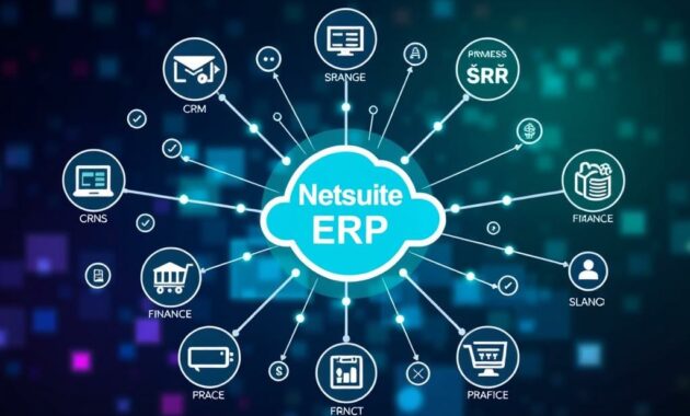 netsuite ERP integrations