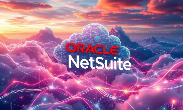 oracle buys netsuite vision